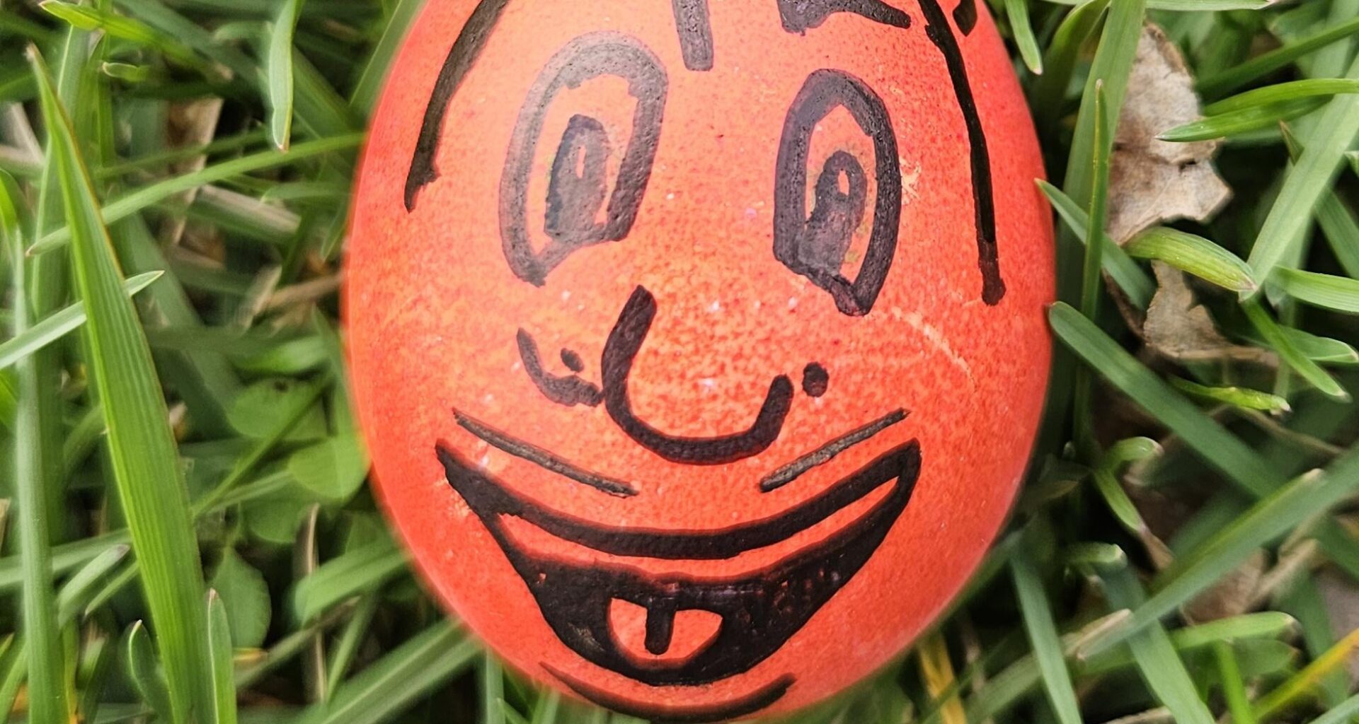 Just dyeing and painting some eggs