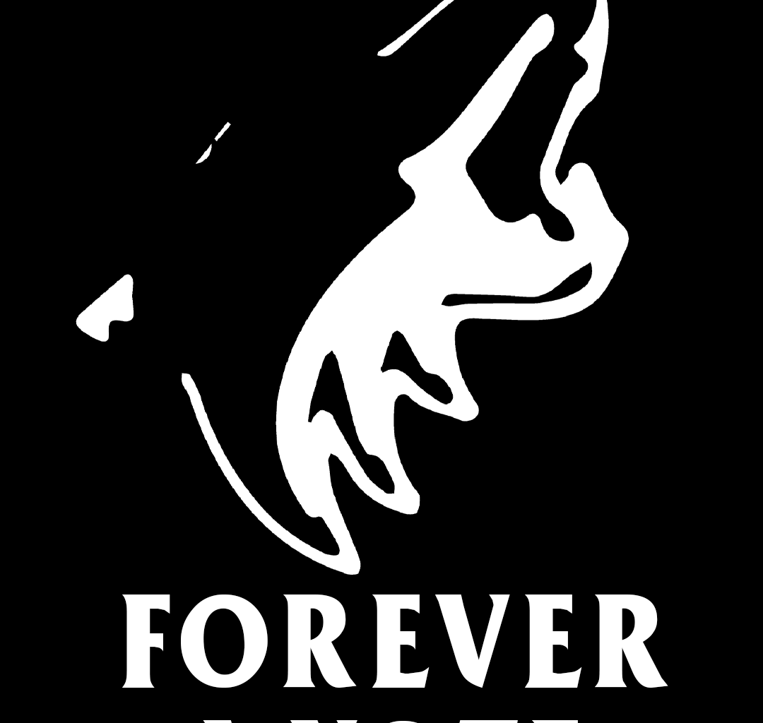 Happy 1 year anniversary of our final match! Love you guys!