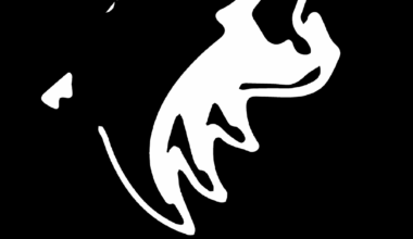 Happy 1 year anniversary of our final match! Love you guys!