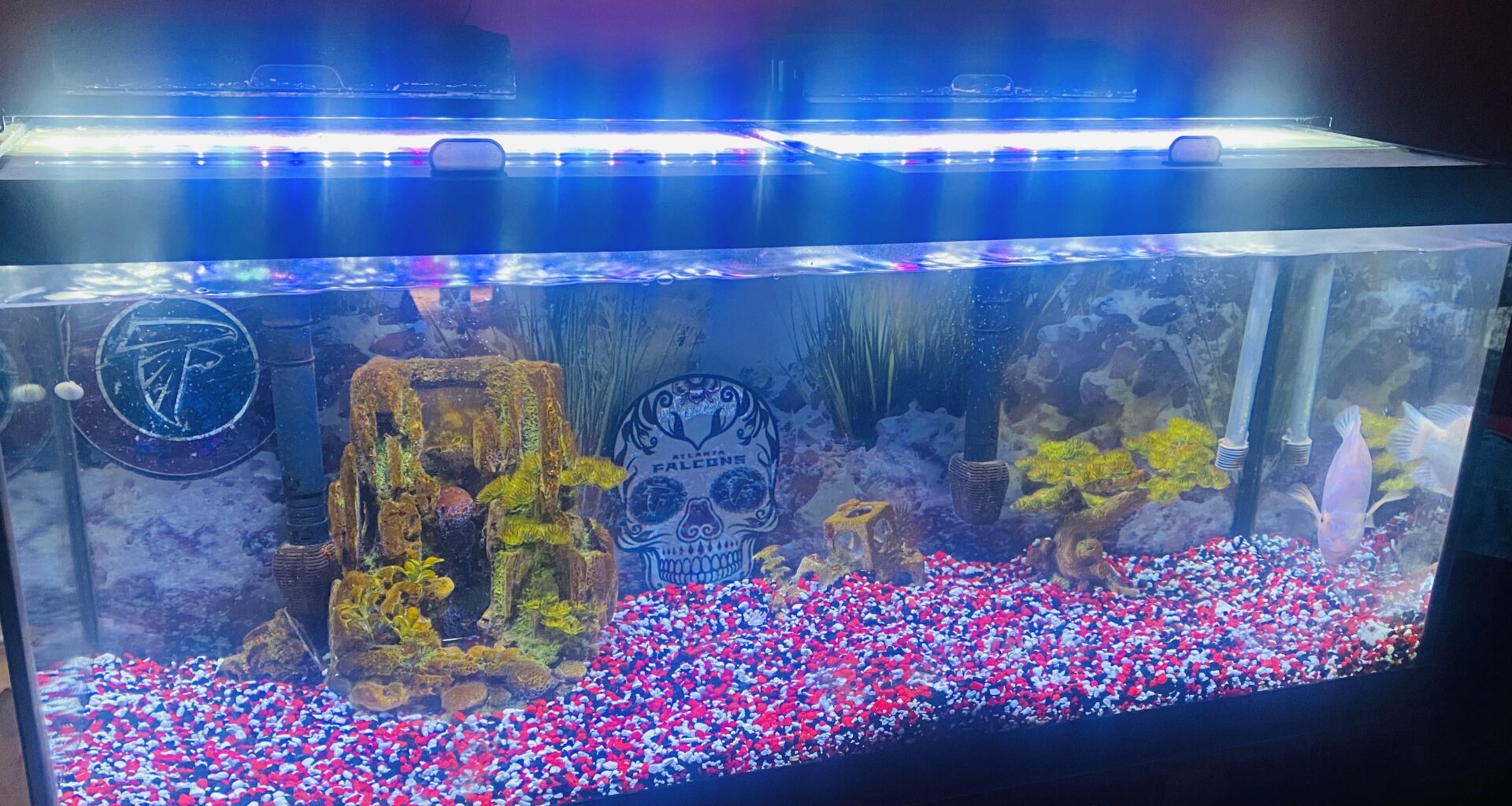 Reporting live from south Cobb