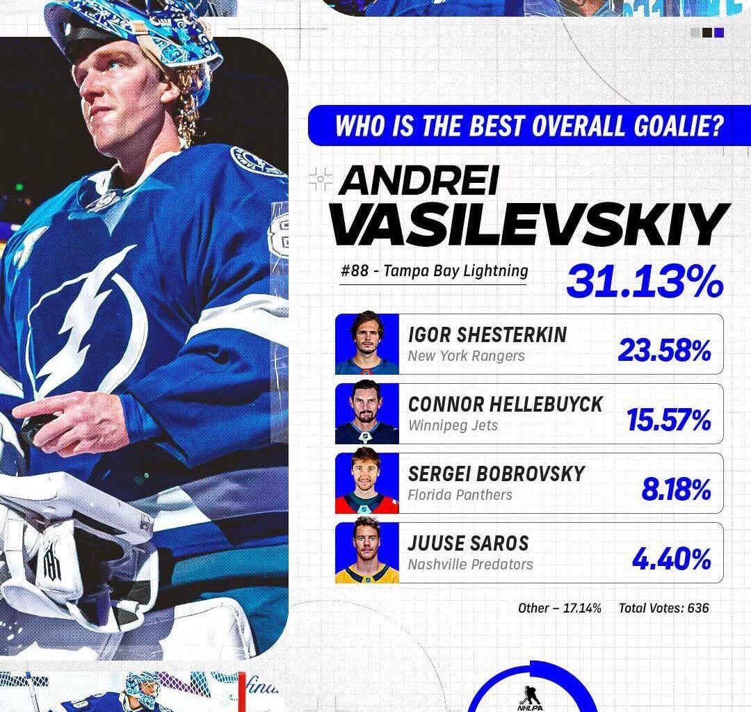 Finally some recognition. Voted on by NHL players