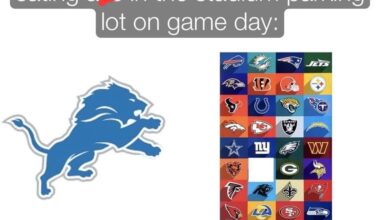 I’m a lions fan, but this is still funny asf