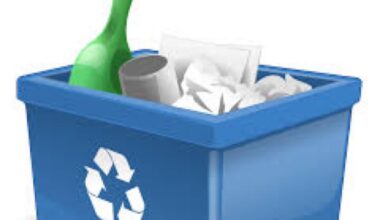 Are memes recyclable?