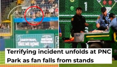 TERRIFYING Moment As Fan PLUNGES Over 20 Feet Onto Field, Stretchered Off During Cubs-Pirates Game