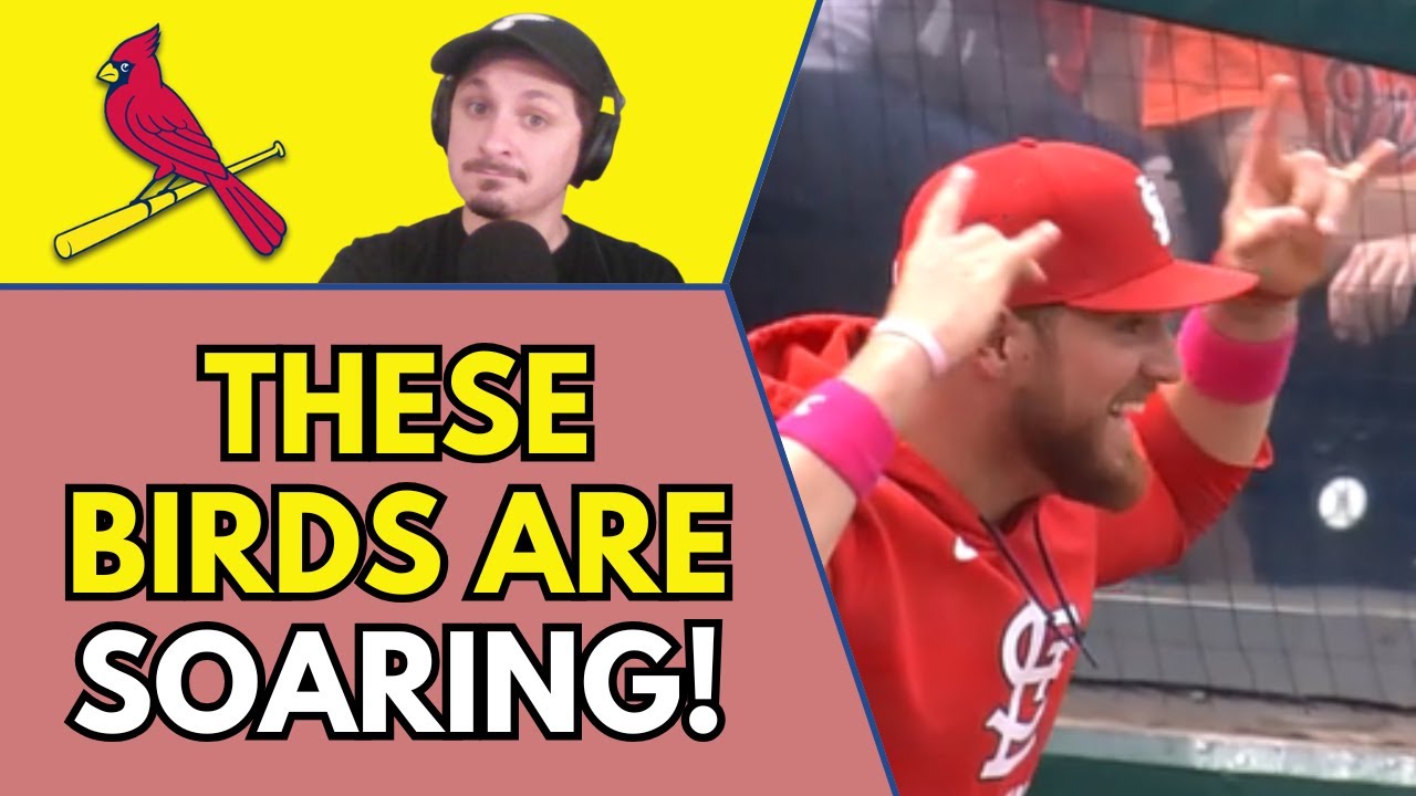 EIGHT In A Row! St. Louis Cardinals SWEEP The Nationals—Now Just ONE Game Behind The Cubs!