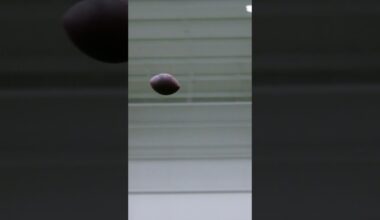 Michael Penix Jr. to Drake London during OTA's! #nfl #atlantafalcons #falcons