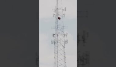 Penix throws it in the clouds to McCloud in OTAs #football #nfl #highlight #throw #falcons