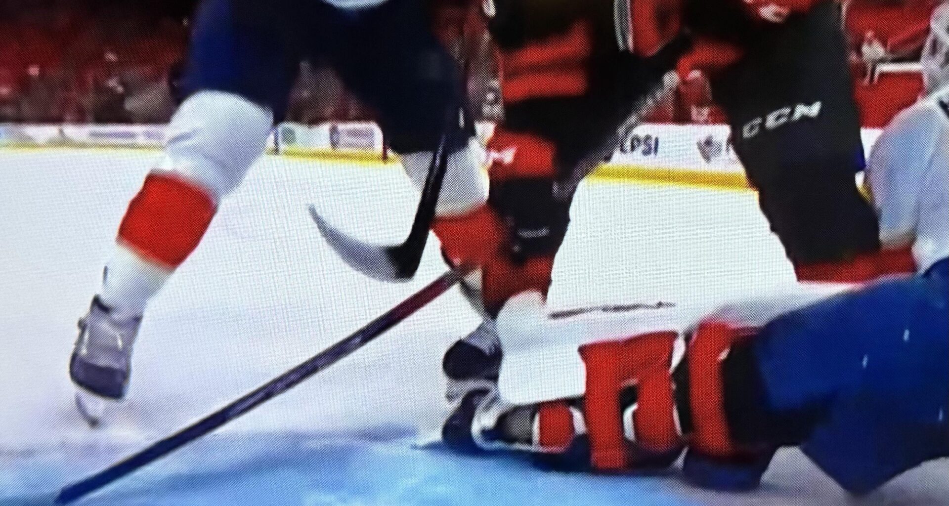 Panthers in a nutshell