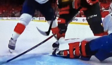 Panthers in a nutshell