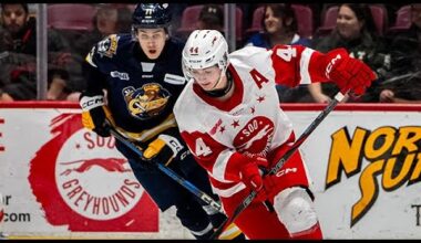 MOST PHYSICAL PLAYERS IN 2025 NHL DRAFT #nhl #aitcheson #draft #bear #dynamo #flyers #rangers #fight