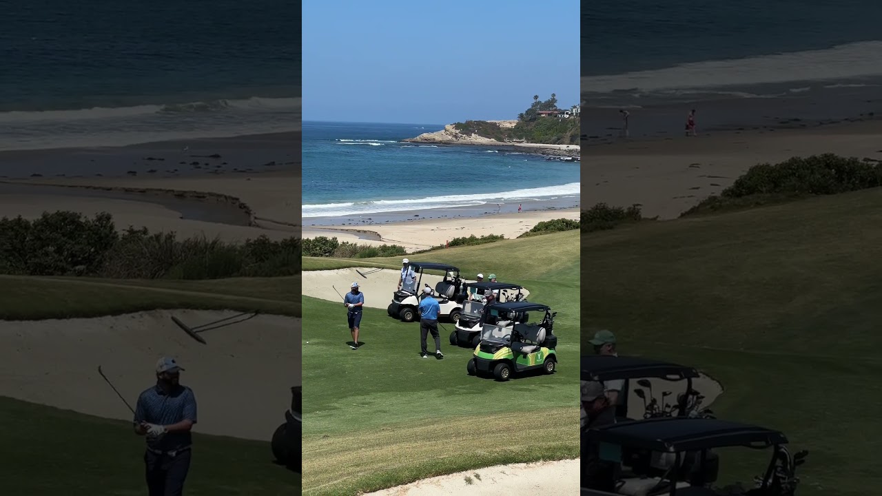 what a shot by jim harbaugh ⛳️ #shorts