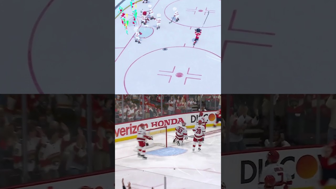 A Spectacular Goal #hockeyverse