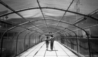 Photos from 2008 season