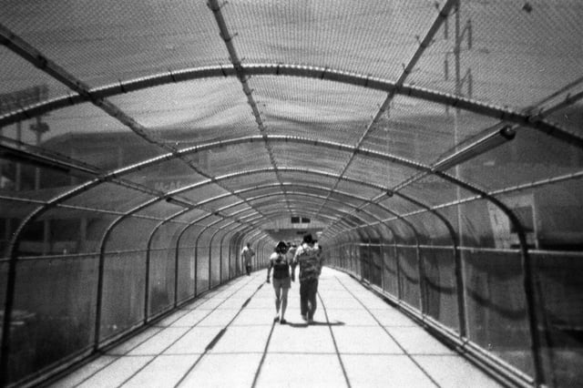 Photos from 2008 season