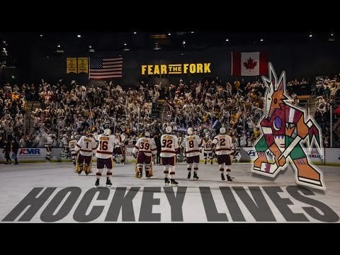 Nice to hear someone on social media complimenting hockey in Arizona