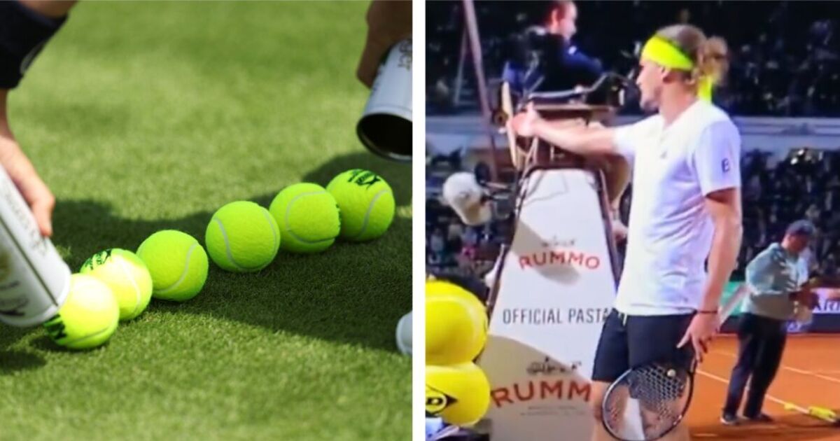 Tennis LIVE: Player slapped with 12-month ban as Zverev lashes out | Tennis | Sport