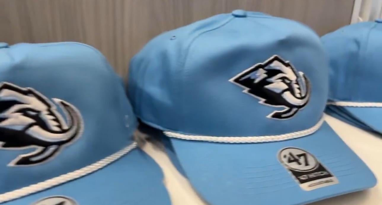 Can any one help me snag one of these??