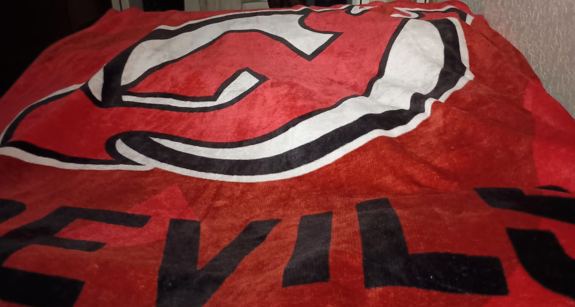 What's your favorite piece of merch you own?