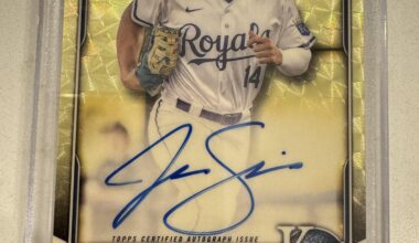 Advice and thoughts on this…