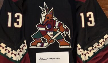 Coyotes Game Worn for sale.