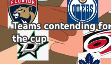 I honestly feel bad for the leafs fans at this point