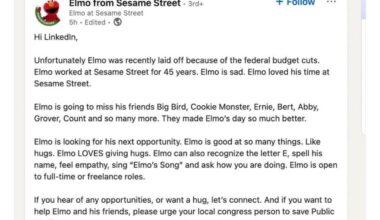 Elmo needs a job! Let’s hire Elmo!!