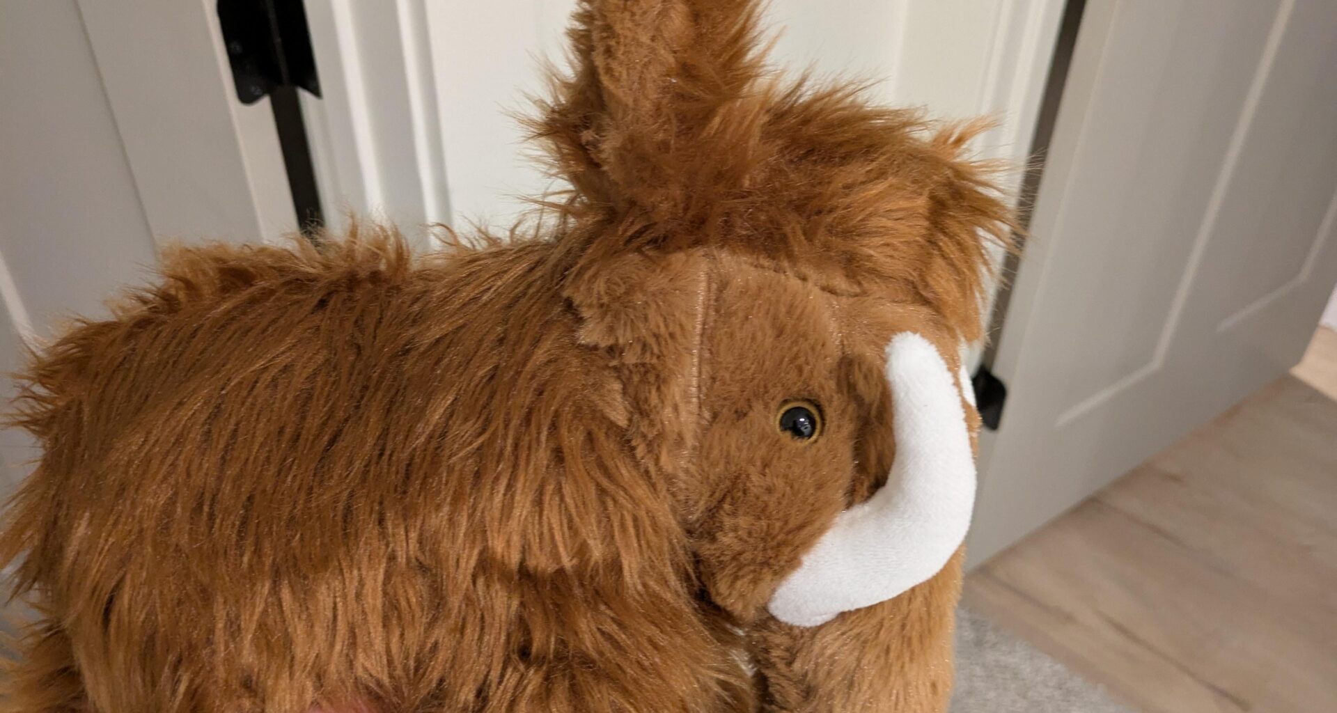 Mammoth from Walmart in February