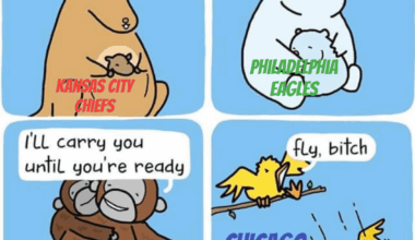 The rookie QB development process