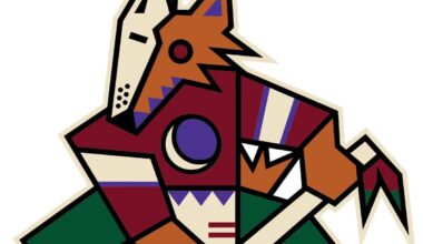 Do you think the Coyotes will ever actually come back? Sounds like NHL wants 34 teams eventually. Can they make a comeback?