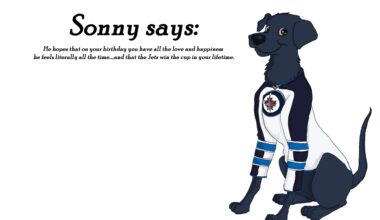 Drew my brother's lovable doofus dog for his birthday sporting his fave team.