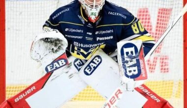 Goaltender Solution (idea)