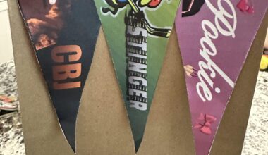 My friend’s birthday bag