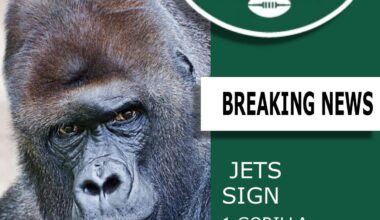 The jets are clear Super Bowl favorites after this signing