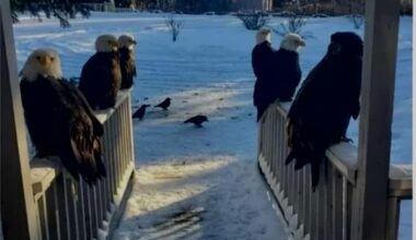 🤷🏻‍♀️🤷🏻‍♀️