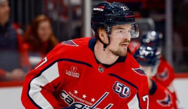 Alexander Alexeyev arrested