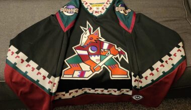 Phoenix Swap meet finds