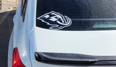 Car is dirty as hell but I couldn't wait to apply this decal