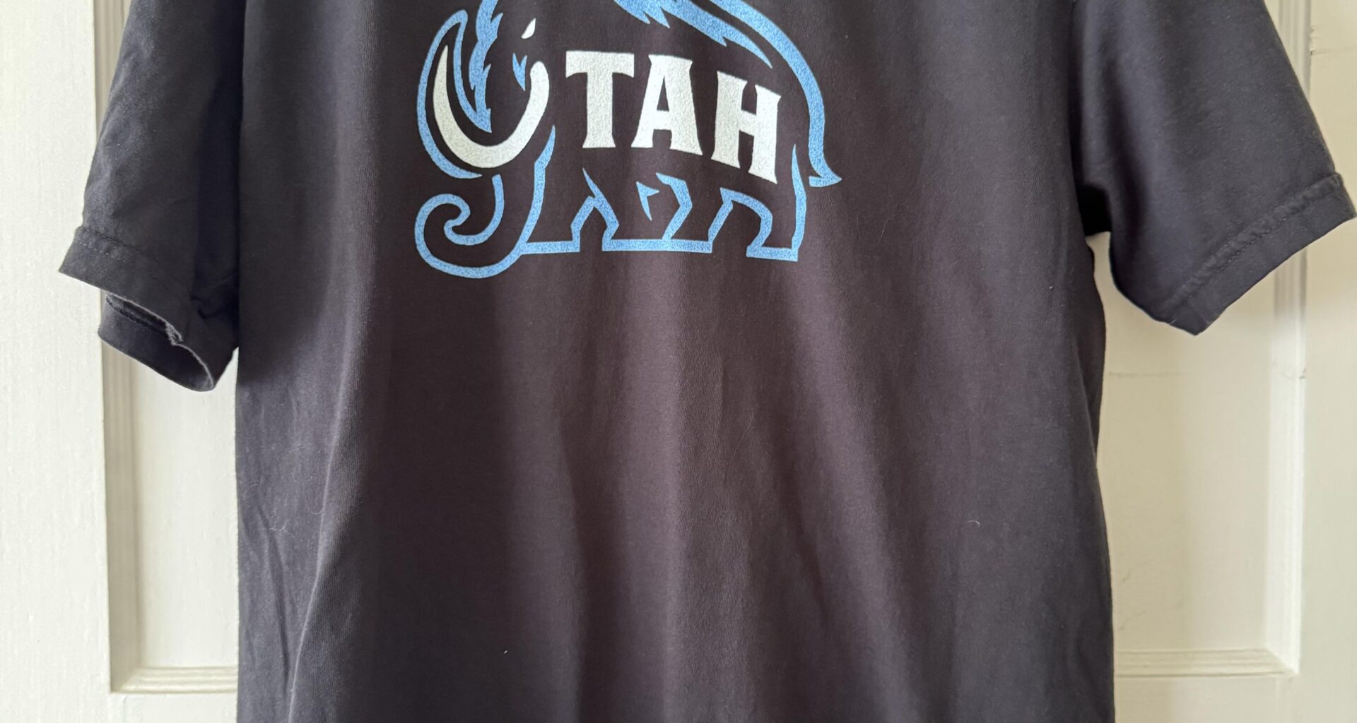 Threw this logo on a shirt and hat just for fun