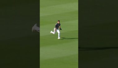 Tyrone Taylor makes the sliding catch!