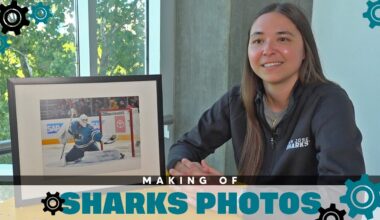 Making Of: Sharks Photos