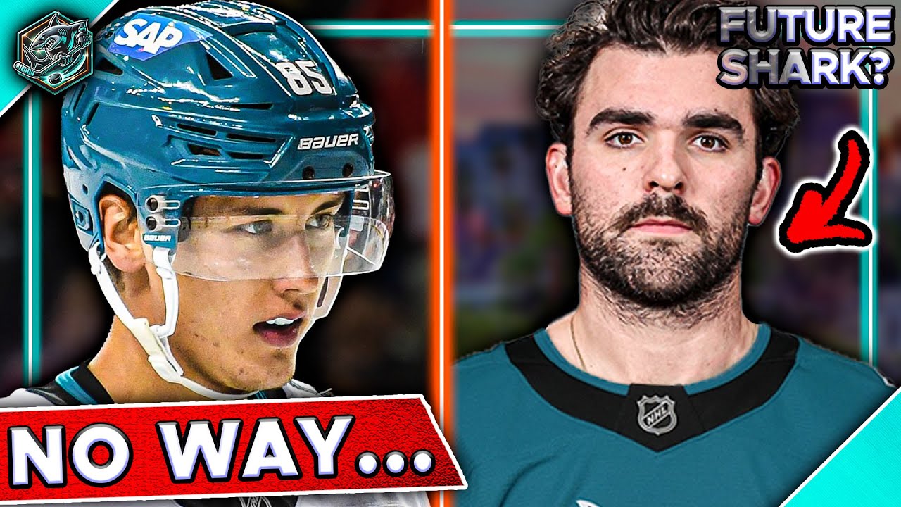 This is absolutely PERFECT for the Sharks...