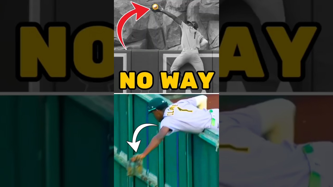 greatest catch EVER?