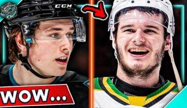 The Sharks future just got BRIGHTER...