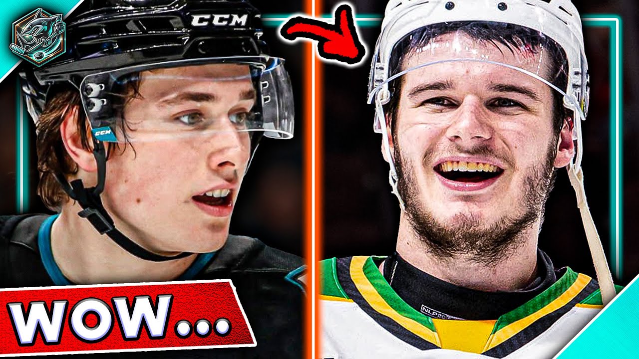 The Sharks future just got BRIGHTER...