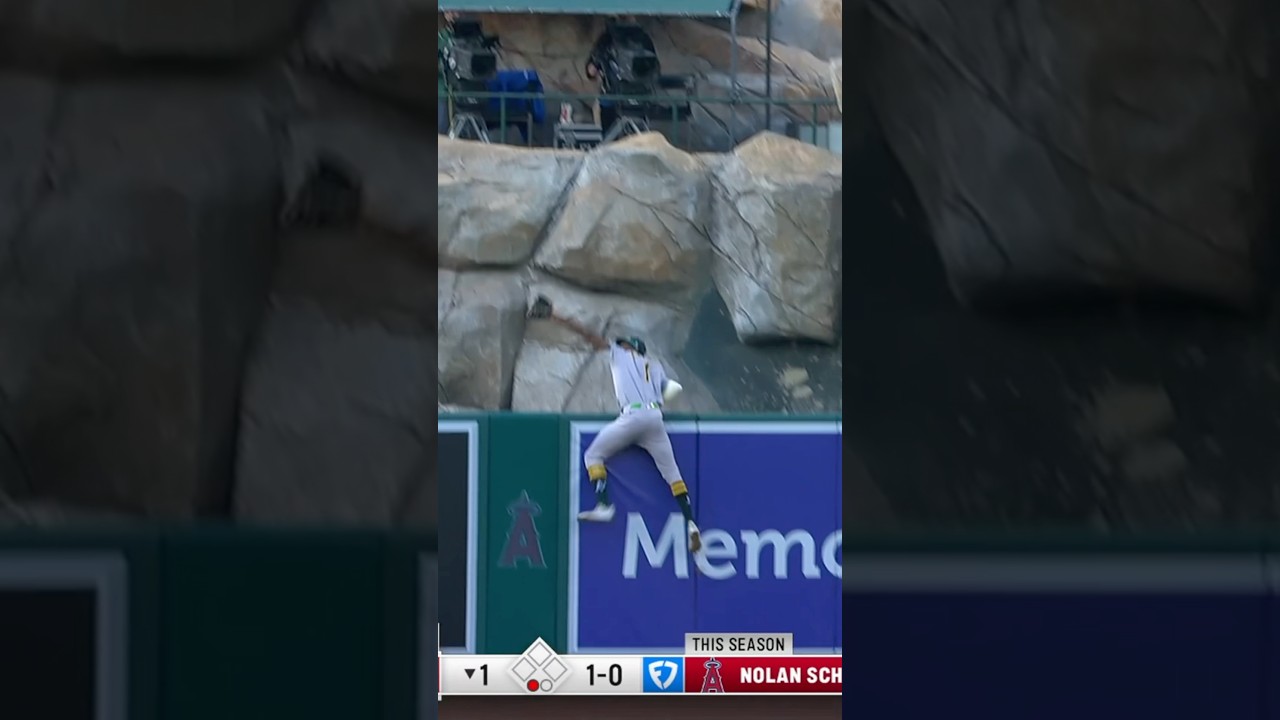 The Best Catch… EVER?!?!