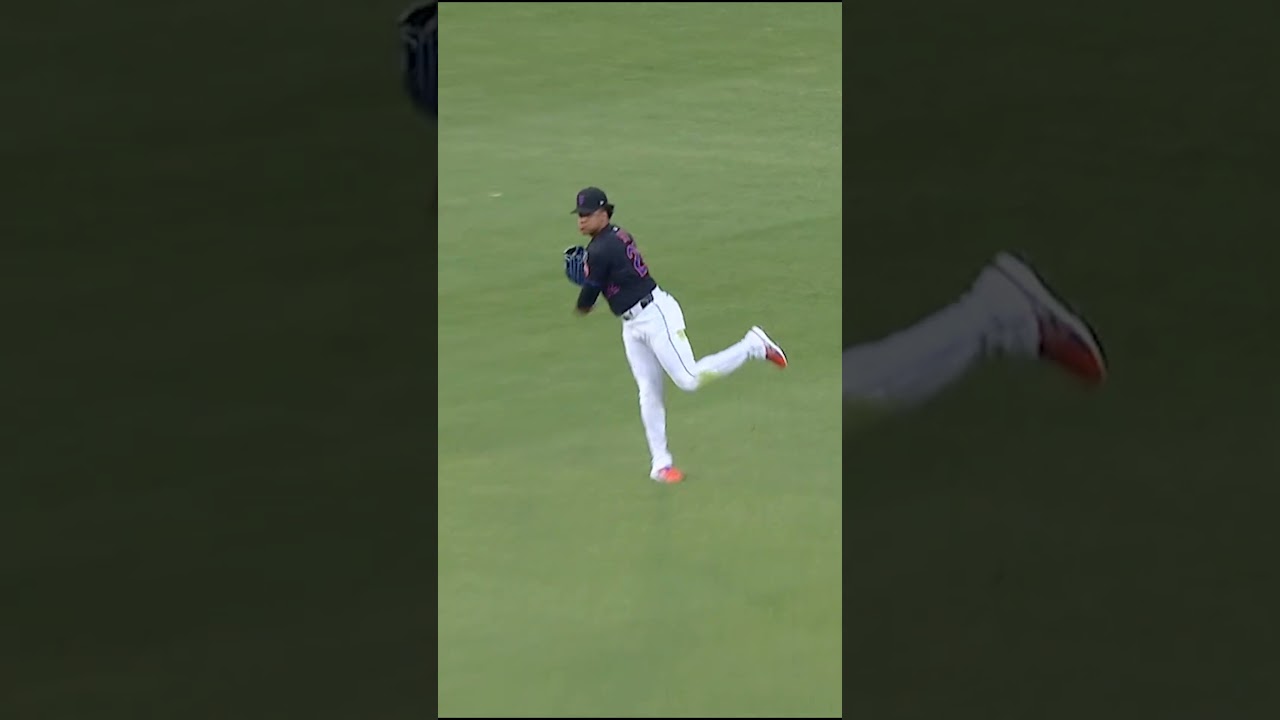 Juan Soto dives to make the catch! 👏