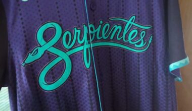 Arizona Diamondbacks 2025 "Serpientes" City Connect Jersey Review