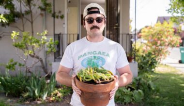 Wrote a fun article about the Coliseum ice plant for Bay Nature