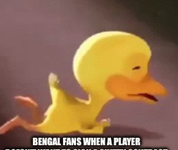 r/bengals in a nutshell rn