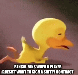 r/bengals in a nutshell rn